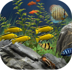 Aquaristik Aquaristik